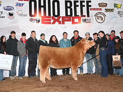 6th Overall Market Animal, 2023 Ohio Beef Expo