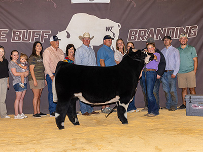 3rd Overall Steer, 2023 Buff Branding