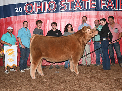 3rd Overall Market Animal, 2023 Ohio State Fair