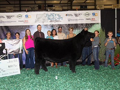 Grand Champion Breeding Heifer, 2022 NW Iowa Showdown